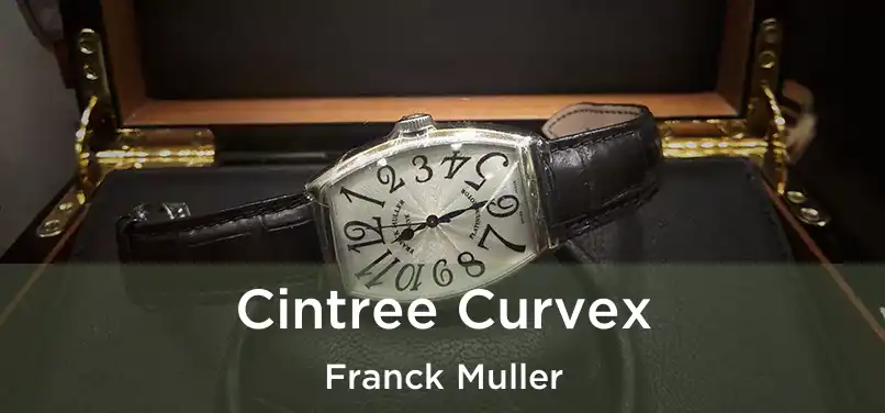  Cintree Curvex Franck Muller