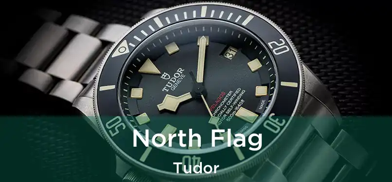  North Flag Tudor